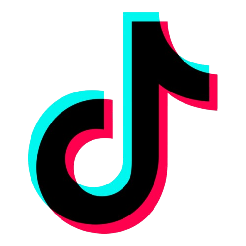TikTok icon